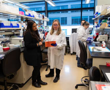 Researchers in the lab looking at files