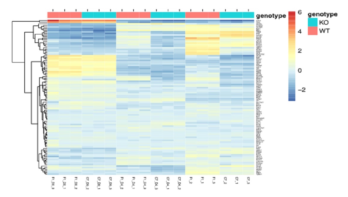 Geonomic Imaging Technology Chart