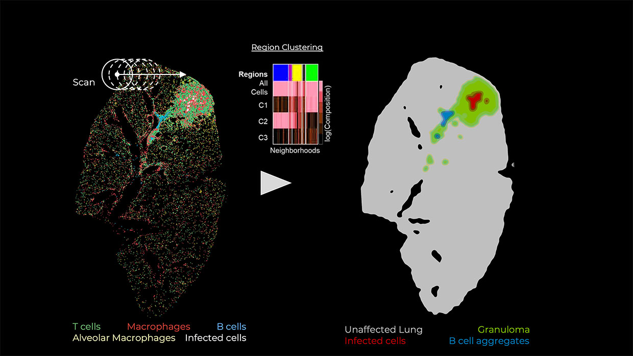 Machine-learning-based region classification