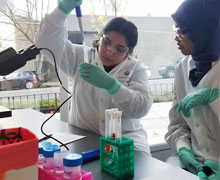 Students using micropipettes to extract white blood cells