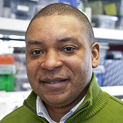 Franck  Kalume,  PhD