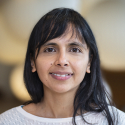 Mridu  Acharya,  PhD